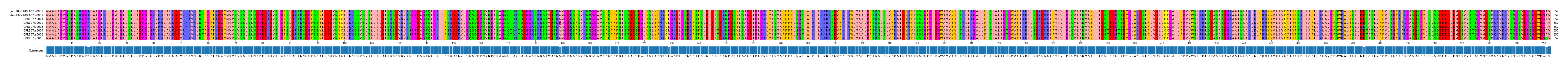 Multiple Alignments (by translate haplotype frequency)