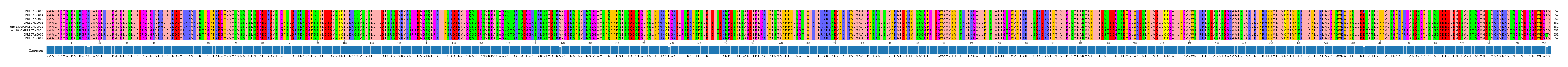 Multiple Alignments (by translate haplotype similarity)