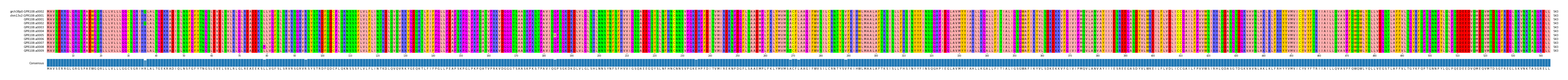 Multiple Alignments (by translate haplotype frequency)