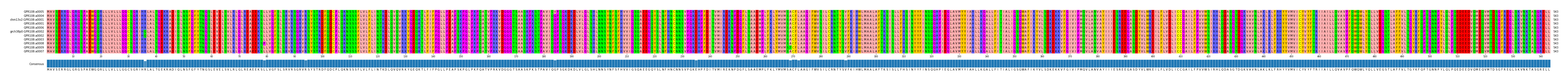 Multiple Alignments (by translate haplotype similarity)