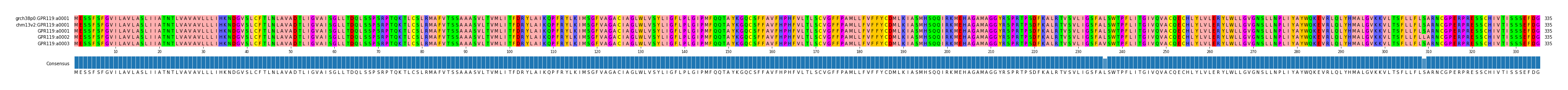 Multiple Alignments (by translate haplotype frequency)