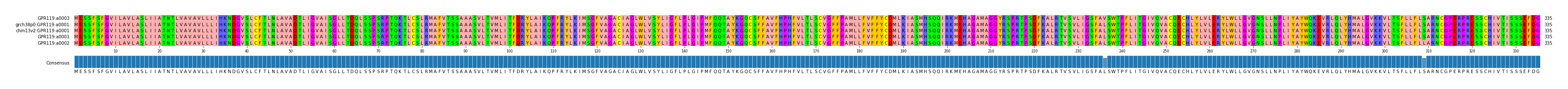 Multiple Alignments (by translate haplotype similarity)