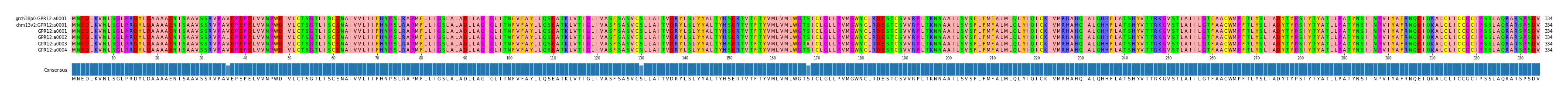 Multiple Alignments (by translate haplotype frequency)