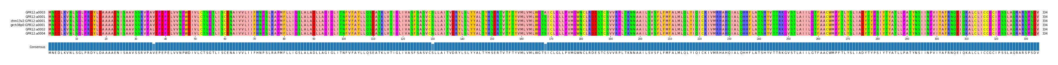 Multiple Alignments (by translate haplotype similarity)