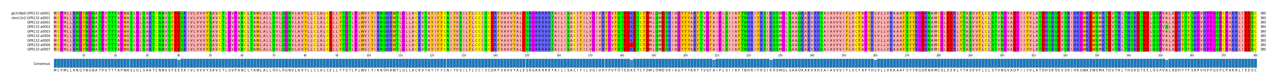 Multiple Alignments (by translate haplotype frequency)