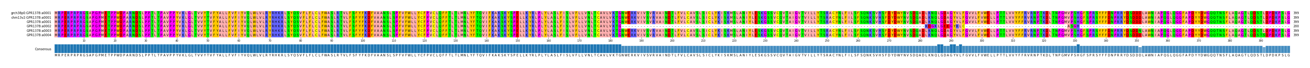 Multiple Alignments (by translate haplotype frequency)