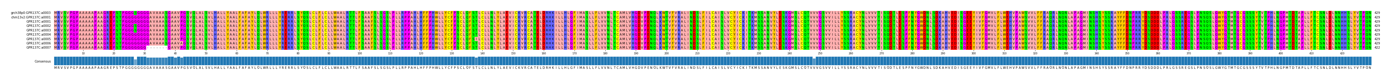 Multiple Alignments (by translate haplotype frequency)