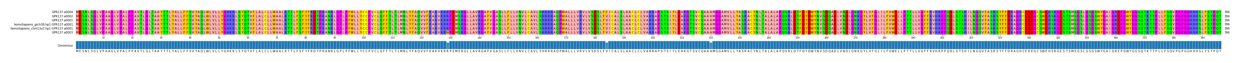 Multiple Alignments (by translate haplotype similarity)