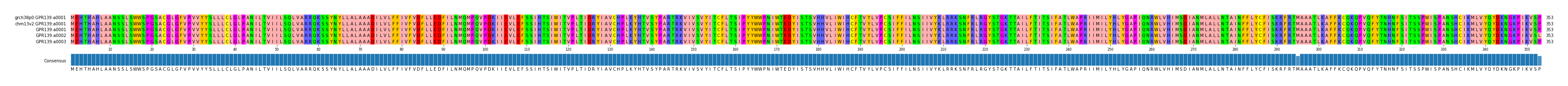 Multiple Alignments (by translate haplotype frequency)