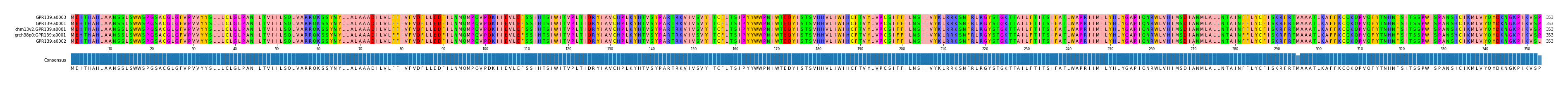 Multiple Alignments (by translate haplotype similarity)