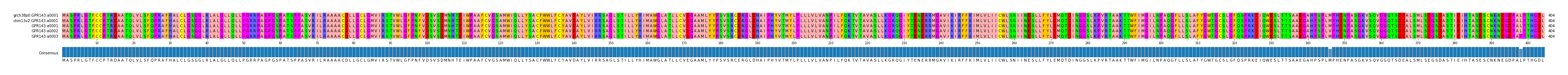 Multiple Alignments (by translate haplotype frequency)