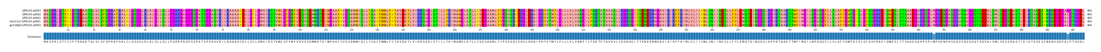 Multiple Alignments (by translate haplotype similarity)