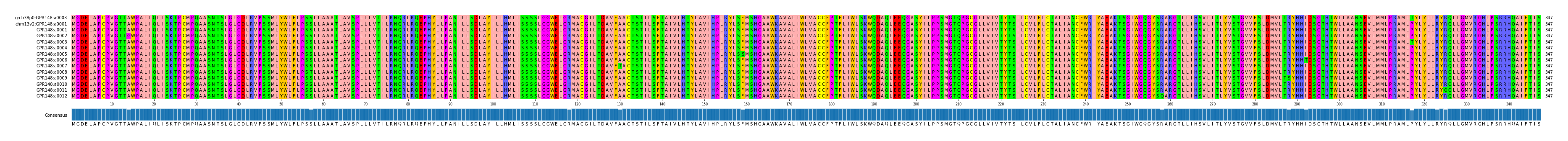Multiple Alignments (by translate haplotype frequency)