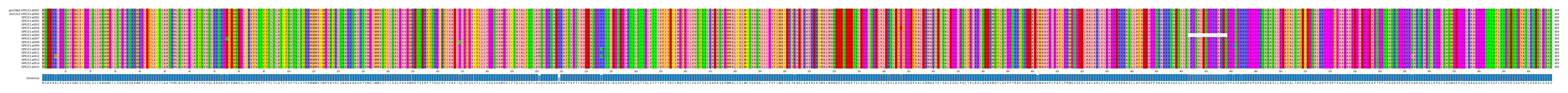 Multiple Alignments (by translate haplotype frequency)