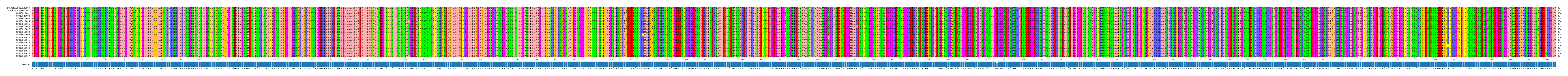 Multiple Alignments (by translate haplotype frequency)