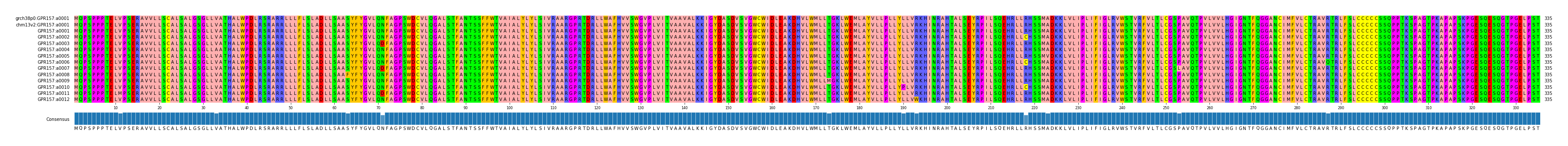 Multiple Alignments (by translate haplotype frequency)
