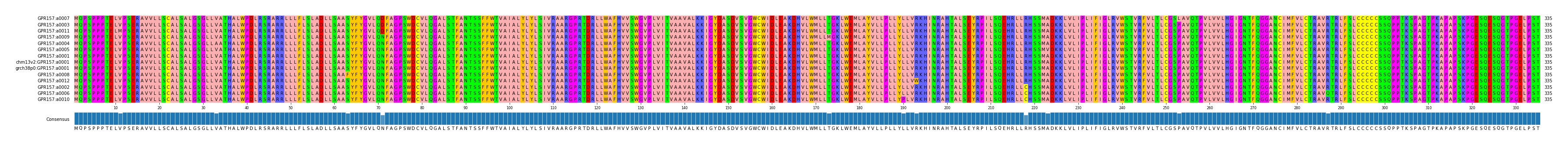 Multiple Alignments (by translate haplotype similarity)