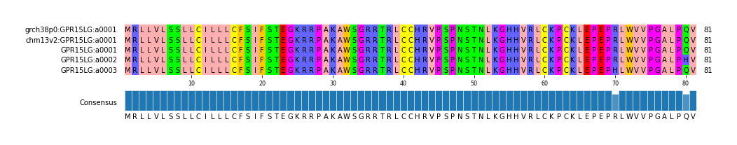 Multiple Alignments (by translate haplotype frequency)