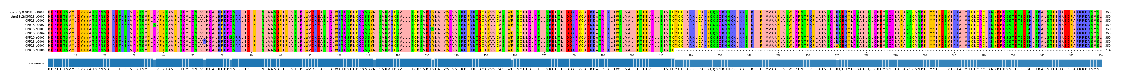 Multiple Alignments (by translate haplotype frequency)