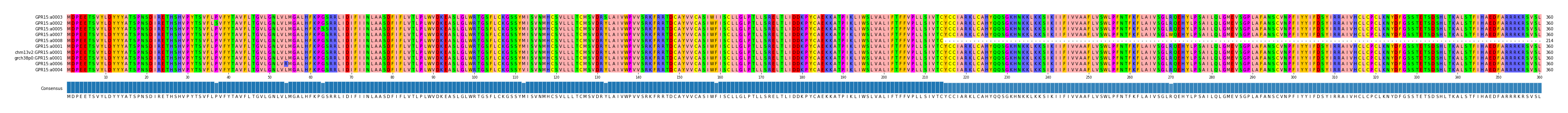 Multiple Alignments (by translate haplotype similarity)