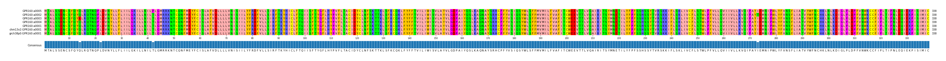 Multiple Alignments (by translate haplotype similarity)