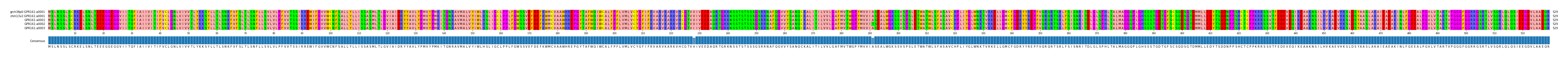 Multiple Alignments (by translate haplotype frequency)