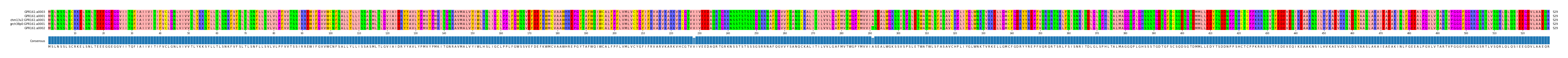 Multiple Alignments (by translate haplotype similarity)