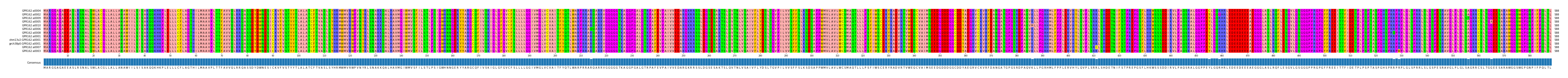 Multiple Alignments (by translate haplotype similarity)