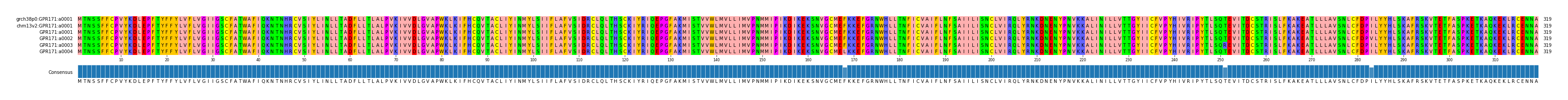 Multiple Alignments (by translate haplotype frequency)