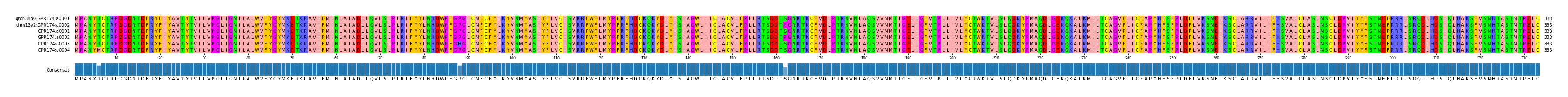Multiple Alignments (by translate haplotype frequency)