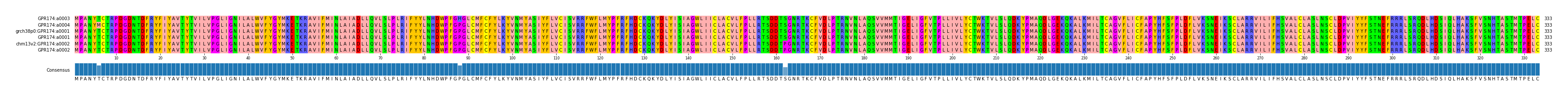 Multiple Alignments (by translate haplotype similarity)
