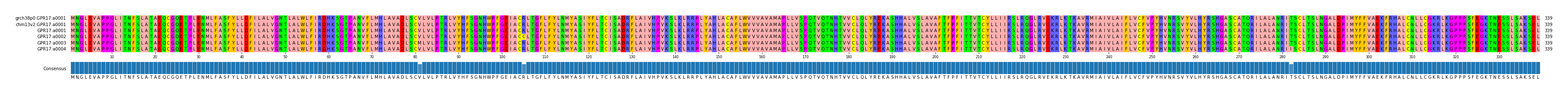 Multiple Alignments (by translate haplotype frequency)