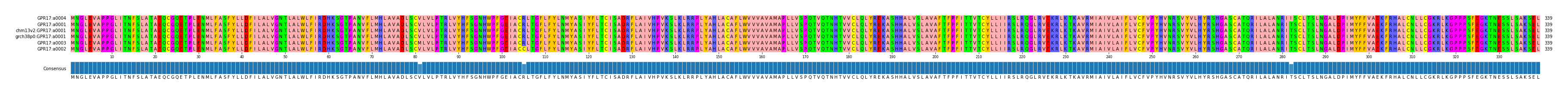 Multiple Alignments (by translate haplotype similarity)
