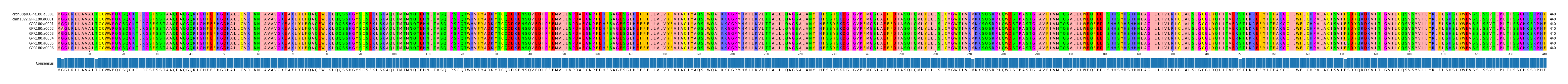 Multiple Alignments (by translate haplotype frequency)