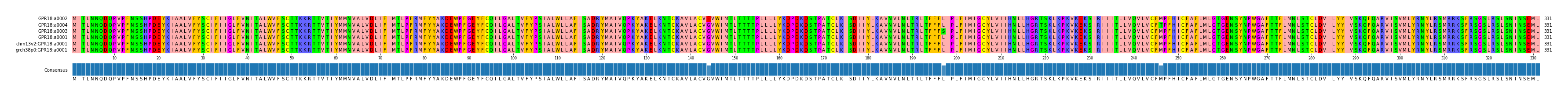 Multiple Alignments (by translate haplotype similarity)