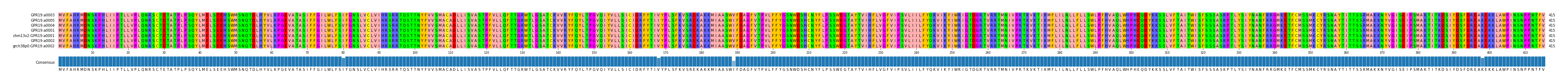 Multiple Alignments (by translate haplotype similarity)