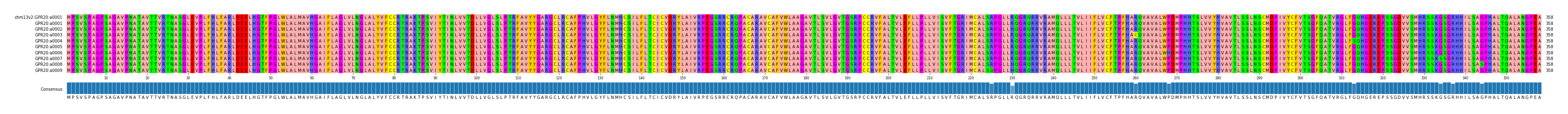 Multiple Alignments (by translate haplotype frequency)