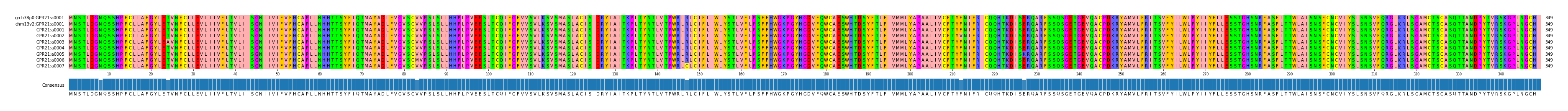 Multiple Alignments (by translate haplotype frequency)