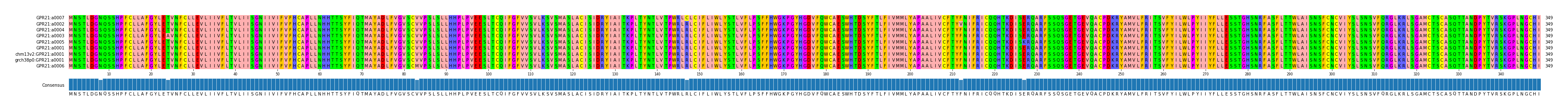 Multiple Alignments (by translate haplotype similarity)