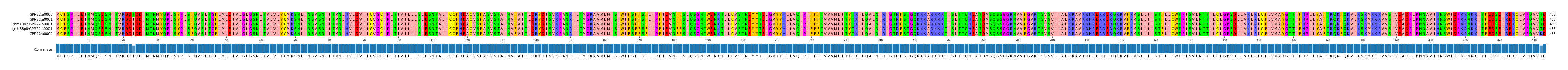 Multiple Alignments (by translate haplotype similarity)