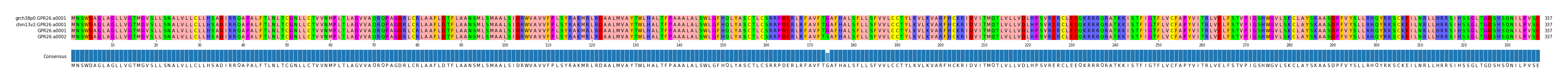 Multiple Alignments (by translate haplotype similarity)