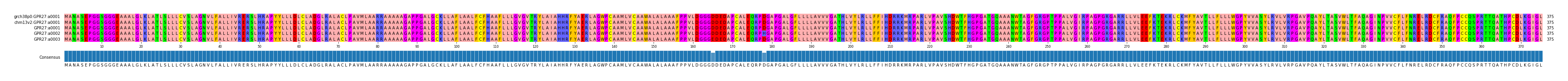 Multiple Alignments (by translate haplotype frequency)
