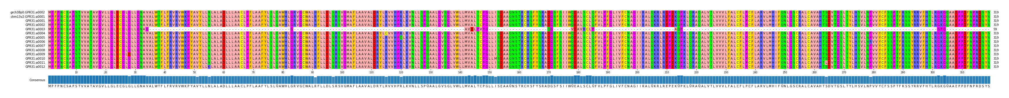 Multiple Alignments (by translate haplotype frequency)