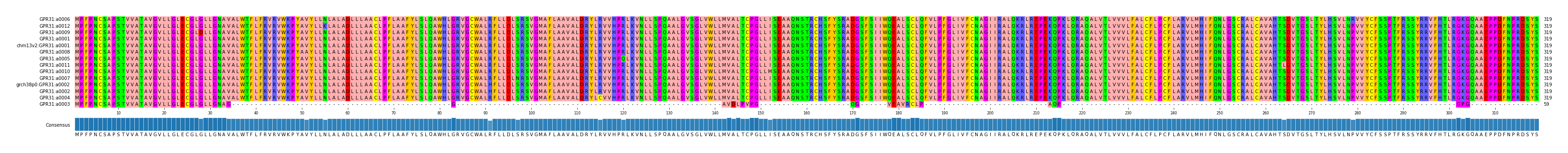 Multiple Alignments (by translate haplotype similarity)