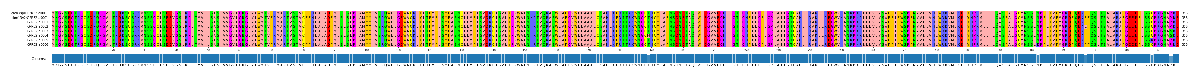 Multiple Alignments (by translate haplotype frequency)