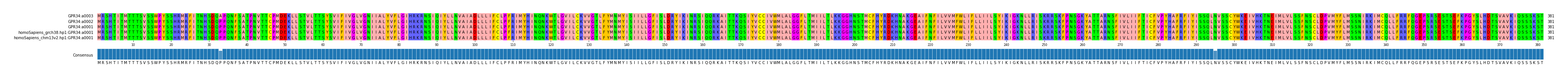 Multiple Alignments (by translate haplotype similarity)