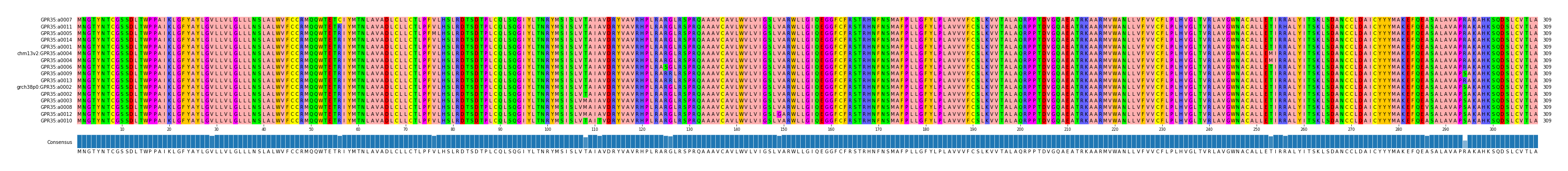 Multiple Alignments (by translate haplotype similarity)