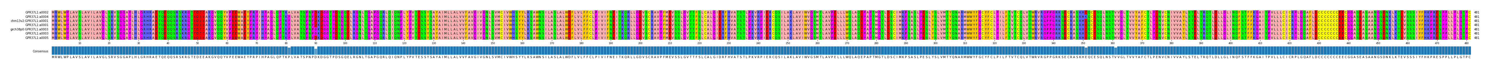Multiple Alignments (by translate haplotype similarity)