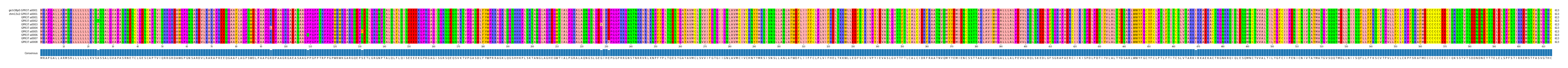Multiple Alignments (by translate haplotype frequency)