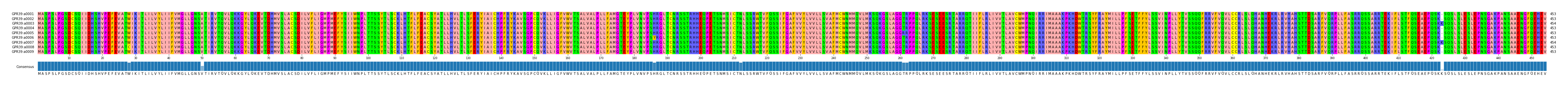 Multiple Alignments (by translate haplotype frequency)